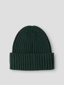 Шапки и кепки Name it MAB BEANIE TB модель 13245558_Pine Grove Фото