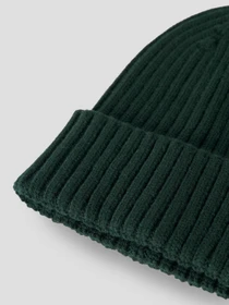 Шапки и кепки Name it MAB BEANIE TB модель 13245558_Pine Grove Фото