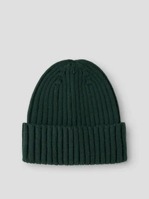 Шапки и кепки Name it MAB BEANIE TB модель 13245558_Pine Grove Фото