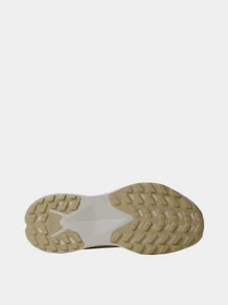 Кроссовки The North Face Altamesa 300 модель NF0A8A9SWID1 Фото