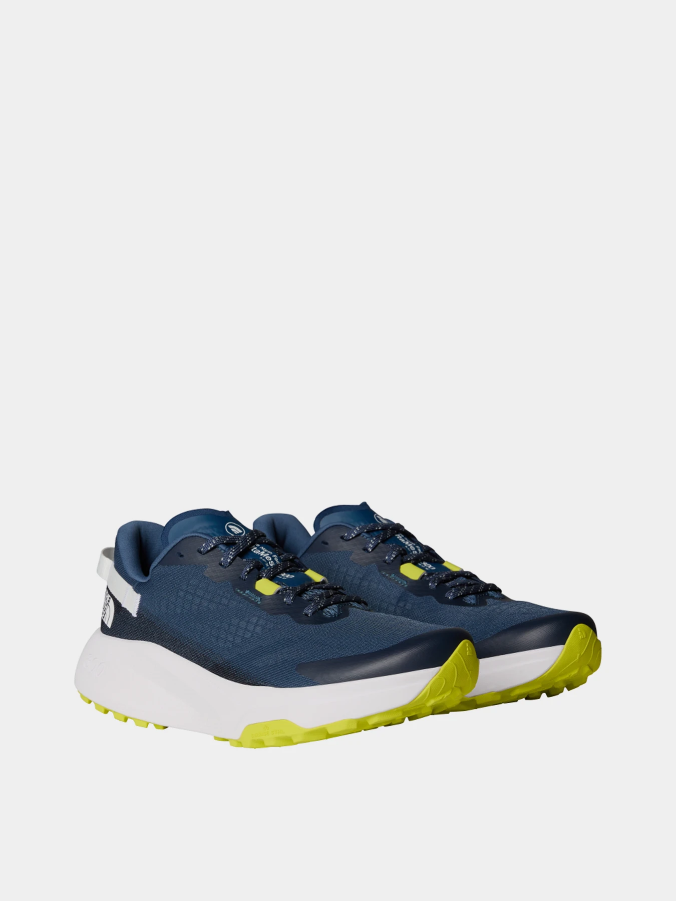 Кроссовки The North Face Altamesa 300 Trail Running модель NF0A8A9R9261 Фото