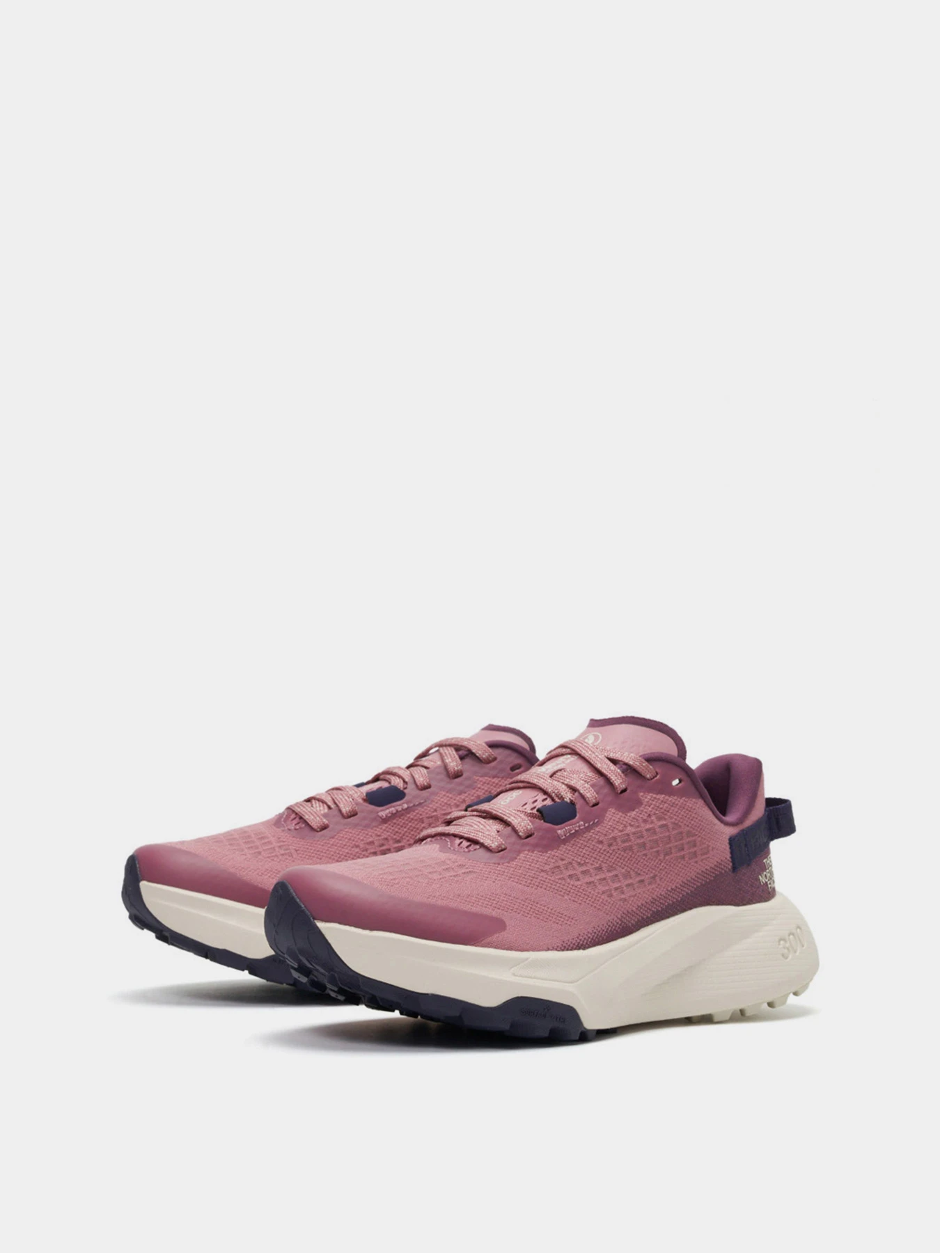 Кроссовки The North Face Altamesa 300 модель NF0A8A9S4TO1 Фото