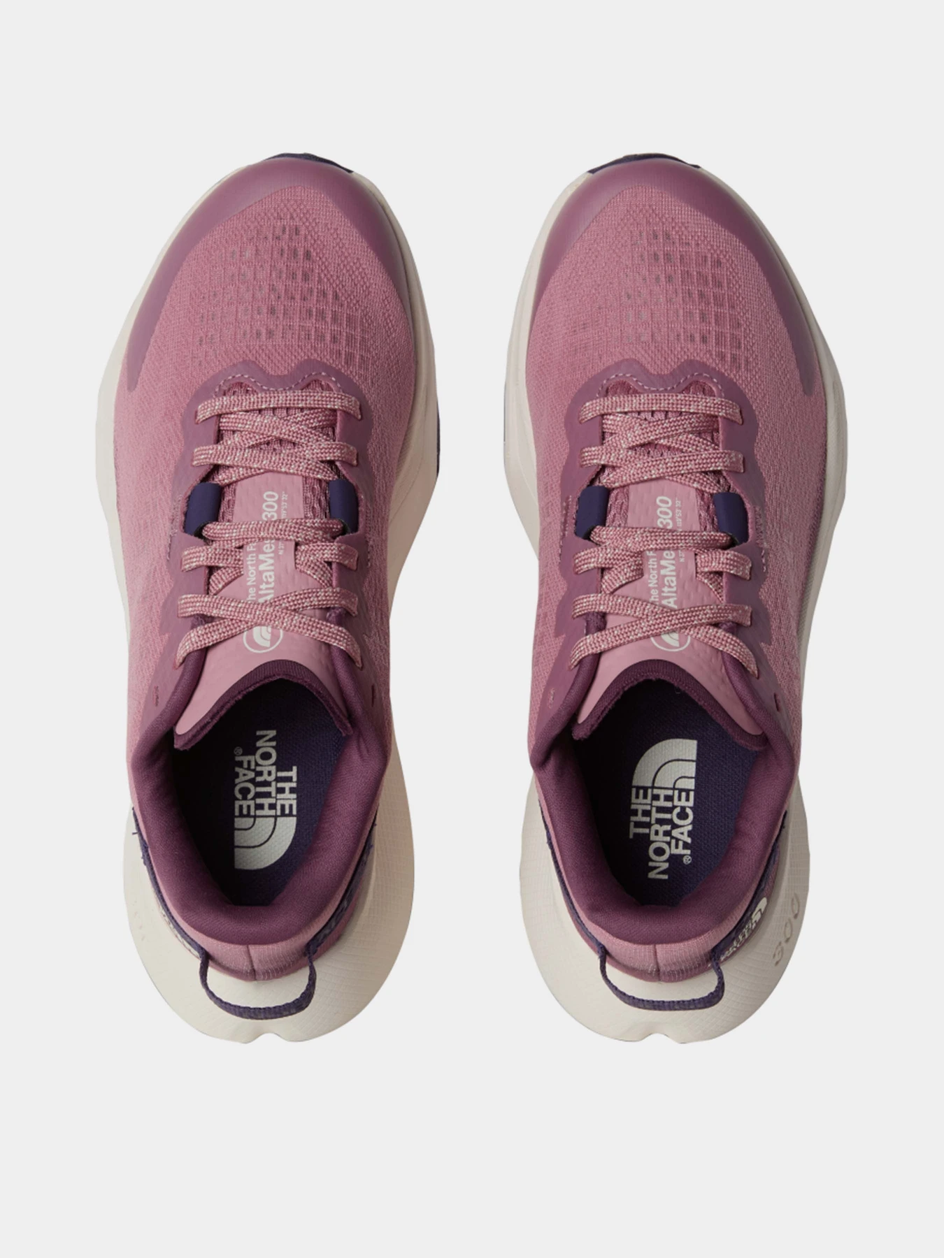 Кроссовки The North Face Altamesa 300 модель NF0A8A9S4TO1 Фото