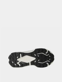 Кроссовки The North Face ALTAMESA 500 V2 модель NF0A8DB3L541 Фото