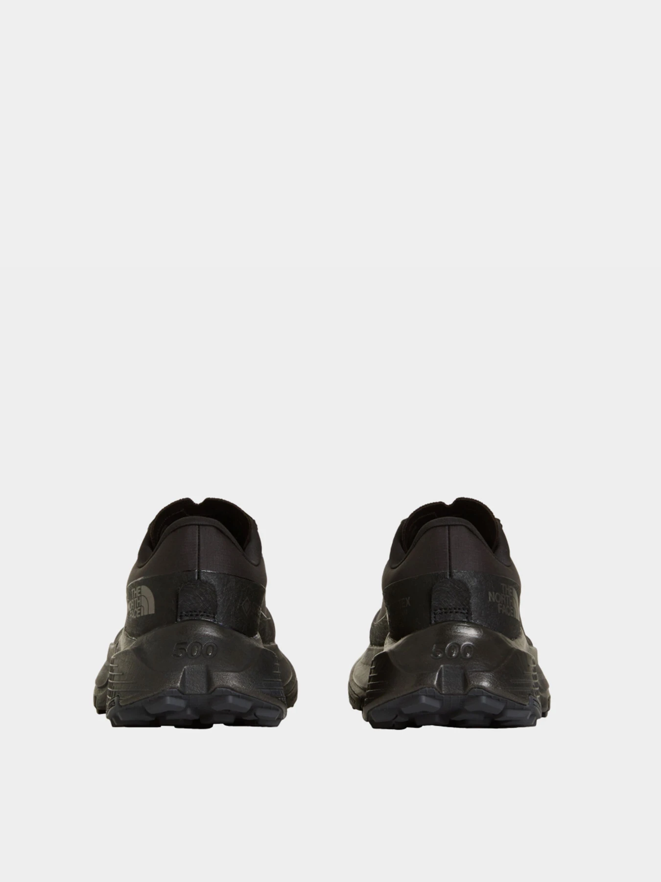 Кроссовки The North Face W ALTAMESA 500 V2 GORE-TEX модель NF0A8G5AKX71 Фото