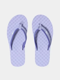 Шльопанці The North Face Women's Base Camp Mini II модель NF0A47ABZ3Q1 Фото