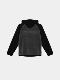 Худи и свитшоты Napapijri Tantan Hood модель NP000I1DM201 Фото