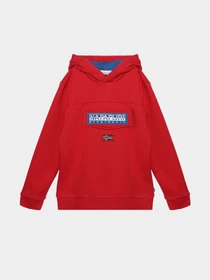 Худи и свитшоты Napapijri Burgee 2 модель NP000I7DR411 Фото