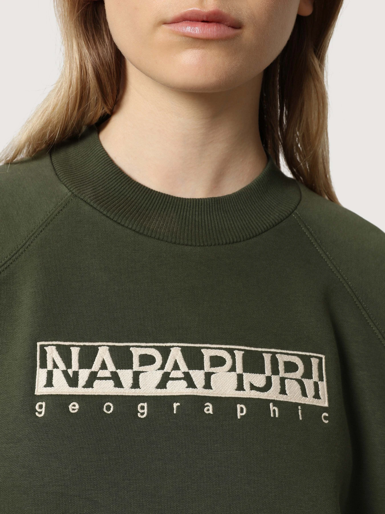 Худи и свитшоты Napapijri Bebel C W 1 модель NP0A4FSBGE41 Худи и свитшоты Napapijri Bebel C W 1 модель NP0A4FSBGE41 Фото