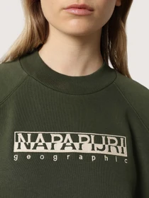 Худи и свитшоты Napapijri Bebel C W 1 модель NP0A4FSBGE41 Фото