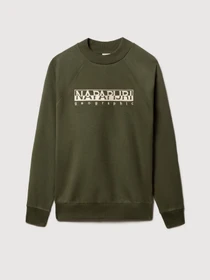Худи и свитшоты Napapijri Bebel C W 1 модель NP0A4FSBGE41 Фото