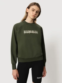 Худи и свитшоты Napapijri Bebel C W 1 модель NP0A4FSBGE41 Фото