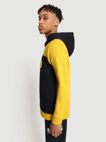 Худи и свитшоты Napapijri K Burgee W 1 модель NP0A4FW1MABS Фото