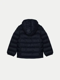 Куртки та дублянки Napapijri Abee 2 модель NP0A4FYB1761 Фото
