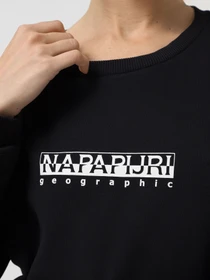 Худи и свитшоты Napapijri B-Box модель NP0A4G7R041S Фото