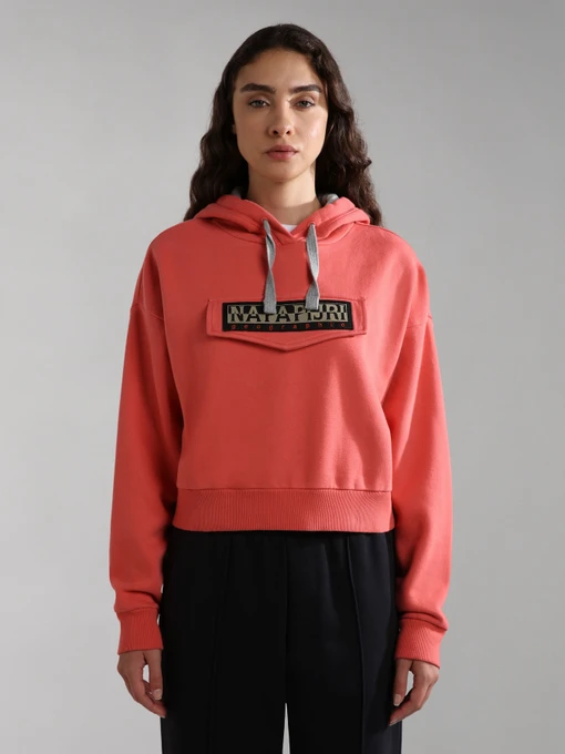 Худи и свитшоты Napapijri Burgee Crop модель NP0A4GKJPP3S Фото