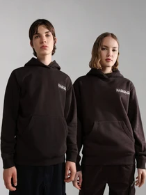 Худи и свитшоты Napapijri B-Freestyle H модель NP0A4GLXWA9S Фото