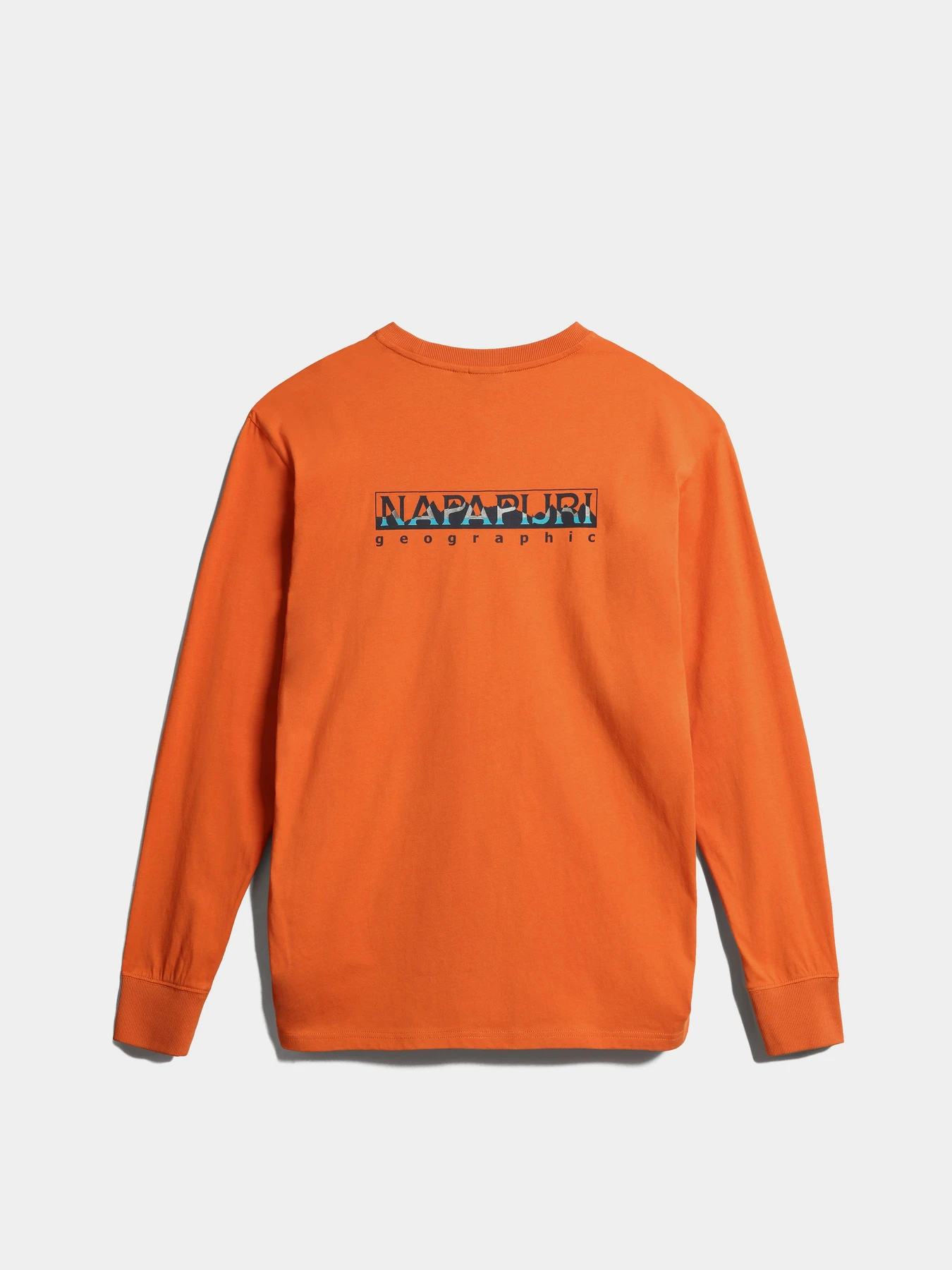 Худи и свитшоты Napapijri S-Telemark Ls модель NP0A4GM2AA31 Худи и свитшоты Napapijri S-Telemark Ls модель NP0A4GM2AA31 Фото