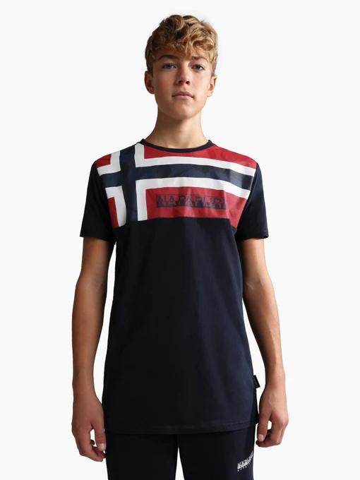 Футболки и поло Napapijri K Seri Ss 1 модель NP0A4GNH176S Фото