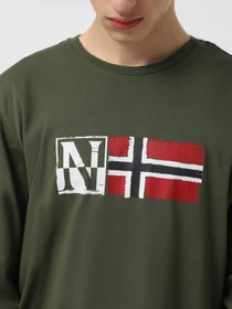 Худи и свитшоты Napapijri Samuel Ls модель NP0A4H3CGE41 Фото