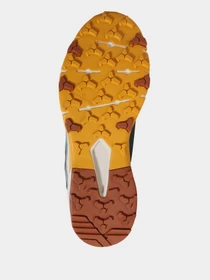 Кроссовки The North Face модель NF0A52Q10W01 Фото