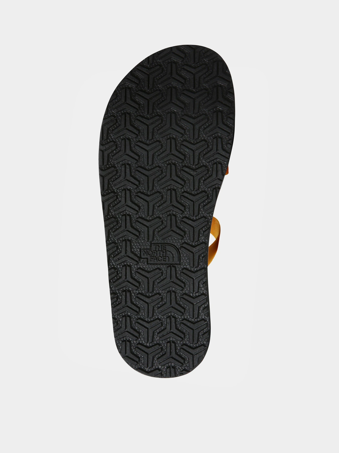 Сандалии The North Face Skeena модель NF0A46BGZU31 Фото