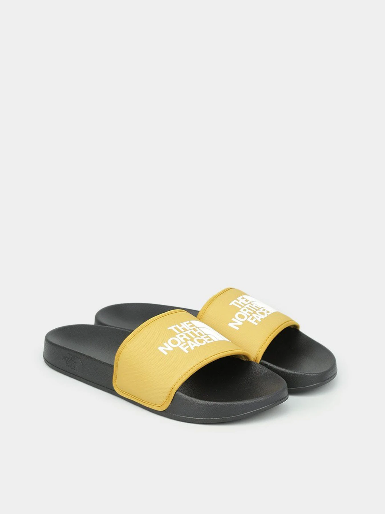 Шлёпанцы The North Face Base Camp Slide III модель NF0A4T2RYQR1 Фото