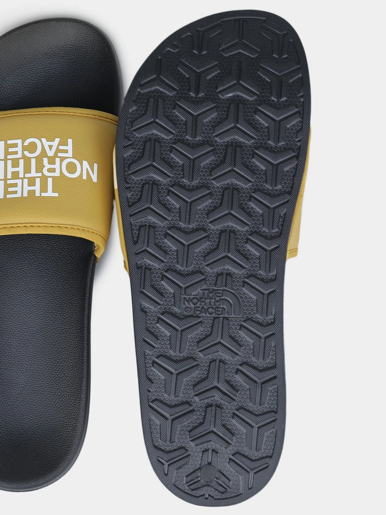 Шлёпанцы The North Face Base Camp Slide III модель NF0A4T2RYQR1 Фото