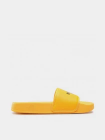 Шльопанці The North Face Base Camp Slide III модель NF0A4T2RZU31 Фото