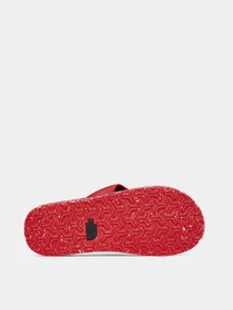 Шльопанці The North Face Base Camp Flip-Flop II модель NF0A47AAKZ31 Фото