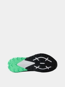 Кроссовки The North Face VECTIV™ ENDURIS III модель NF0A7W5OG6A1 Фото