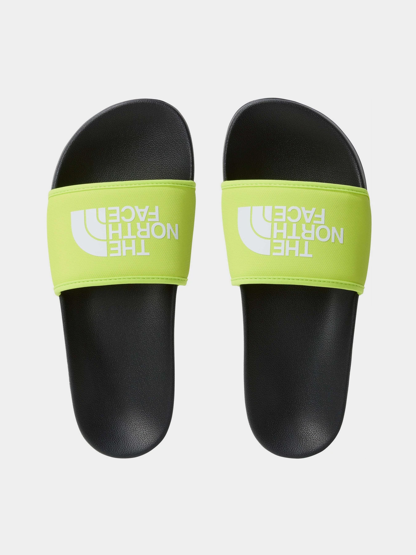 Шлёпанцы The North Face M Base Camp Slide III модель NF0A4T2RWIT1 Фото