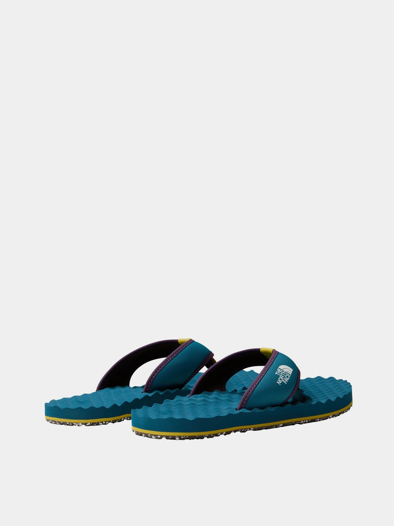 Шлёпанцы The North Face M Base Camp Flip-Flop II модель NF0A47AA3JI1 Фото