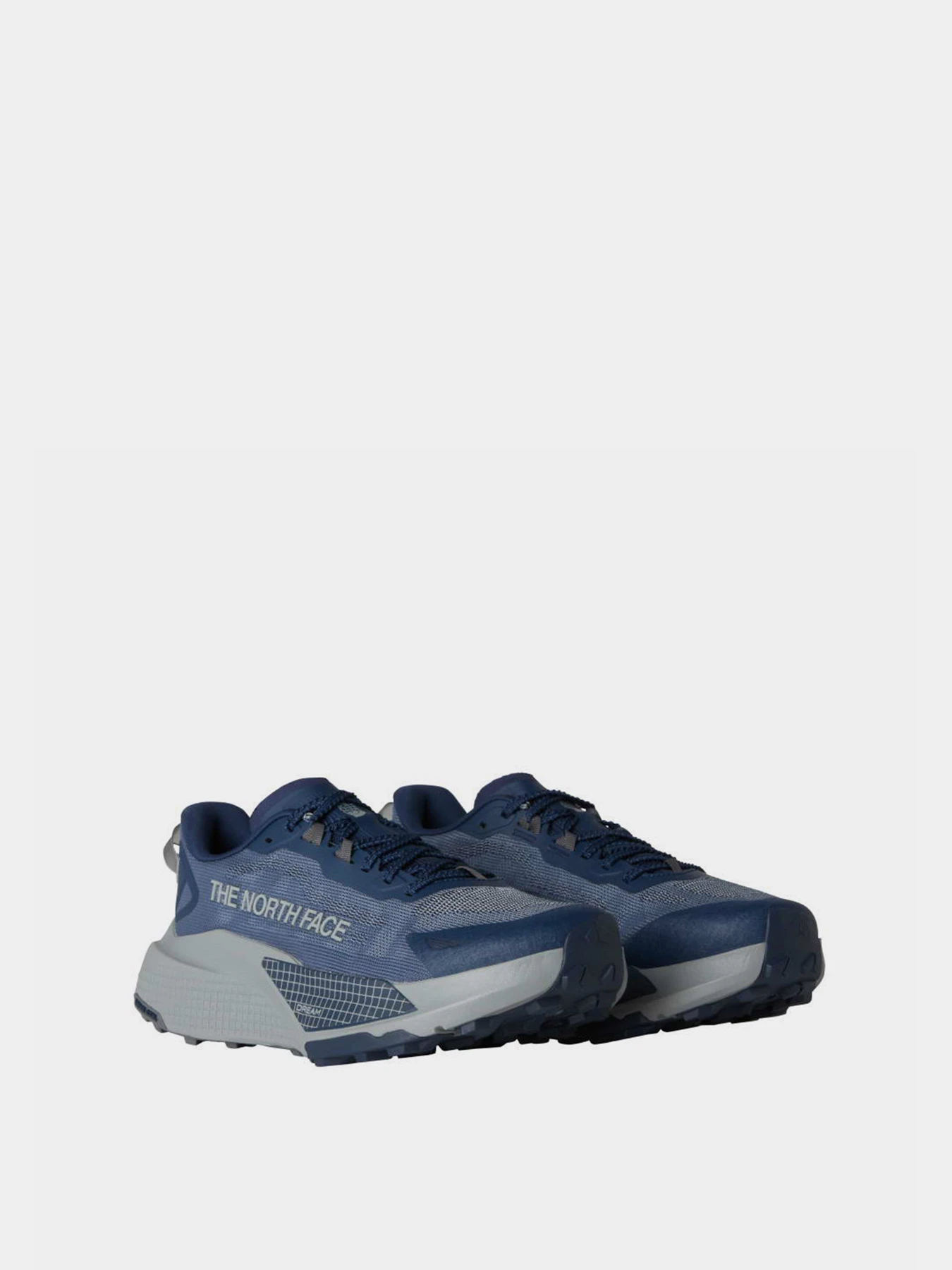 Кроссовки The North Face ALTAMESA 500 V2 модель NF0A8DAJF2Z1 Фото