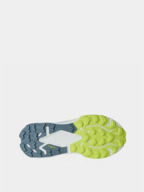 Кроссовки The North Face ALTAMESA 500 V2 модель NF0A8DAJKT31 Фото