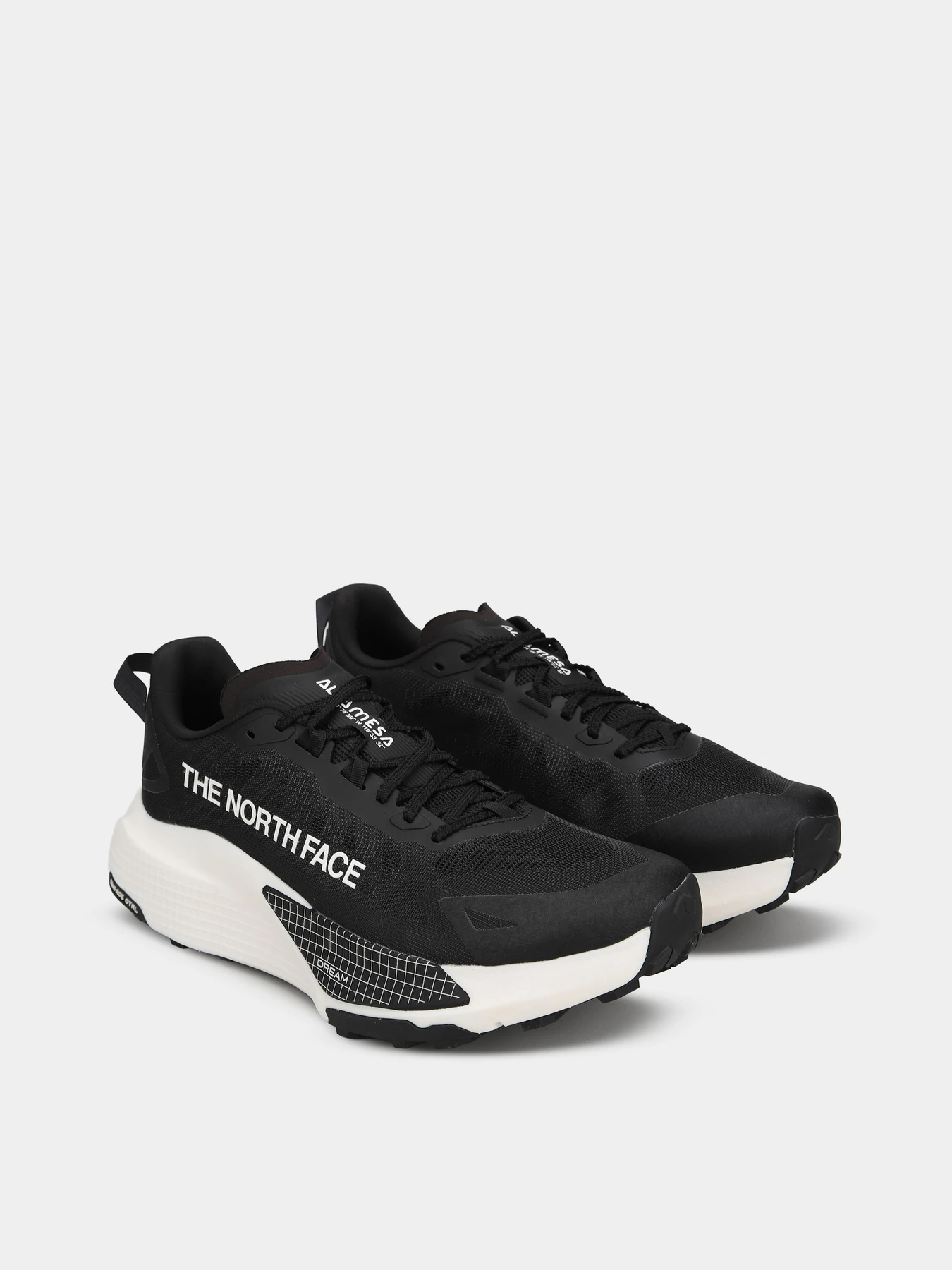 Кросівки The North Face ALTAMESA 500 V2 модель NF0A8DAJL541 Фото
