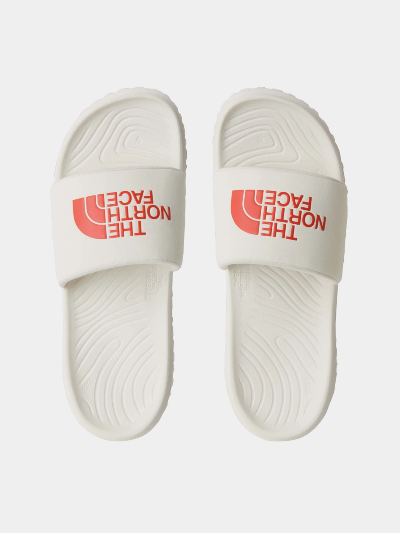 Шлёпанцы The North Face NEVER STOP CUSH SLIDE модель NF0A8A90L7I1 Шлёпанцы The North Face NEVER STOP CUSH SLIDE модель NF0A8A90L7I1 Фото