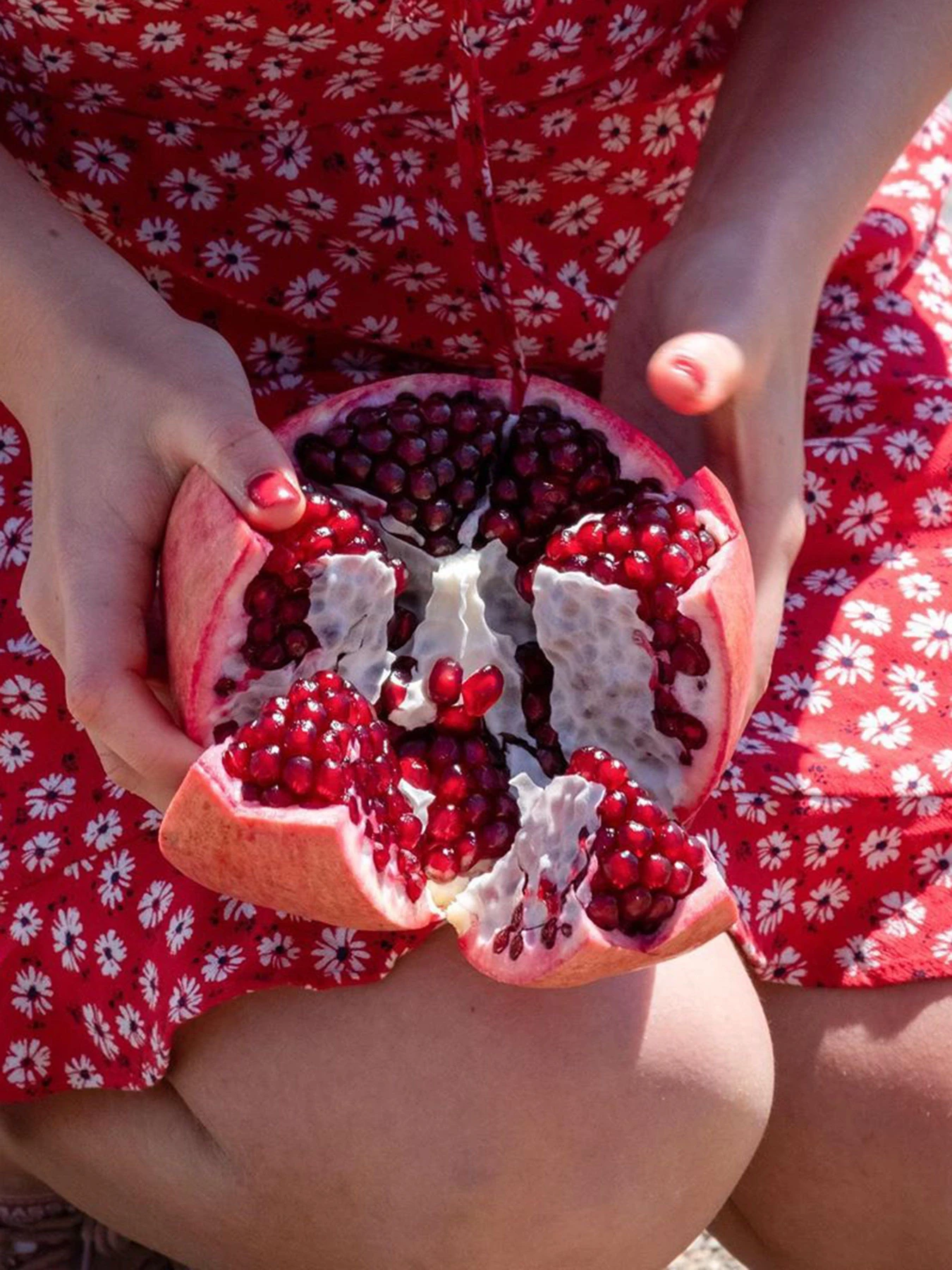 Олива Nature Box модель 90408786 Олива Nature Box модель 90408786 Фото