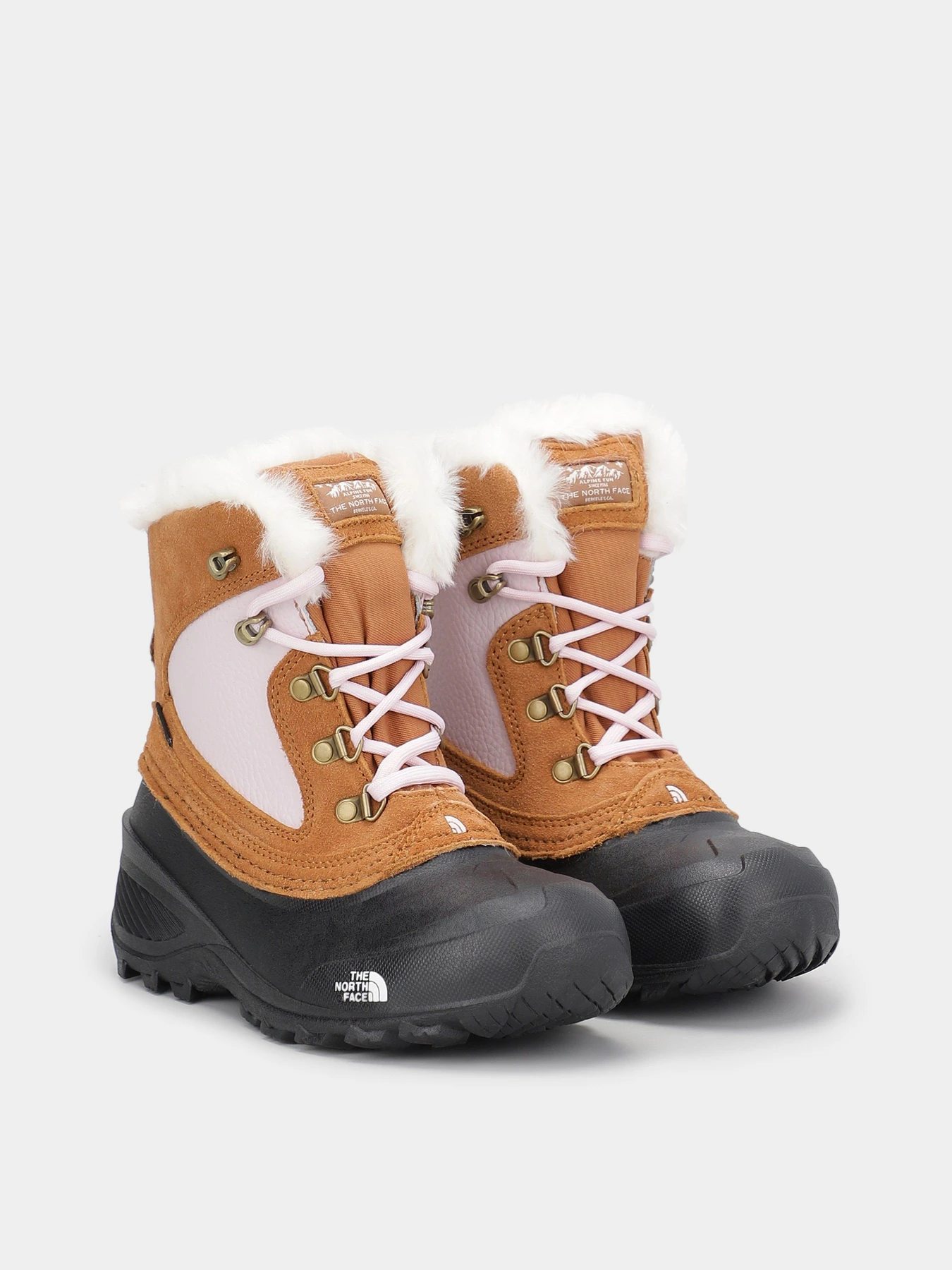 Ботинки и сапоги The North Face Shellista Extreme модель NF0A2T5V9ZW1 Ботинки и сапоги The North Face Shellista Extreme модель NF0A2T5V9ZW1 Фото