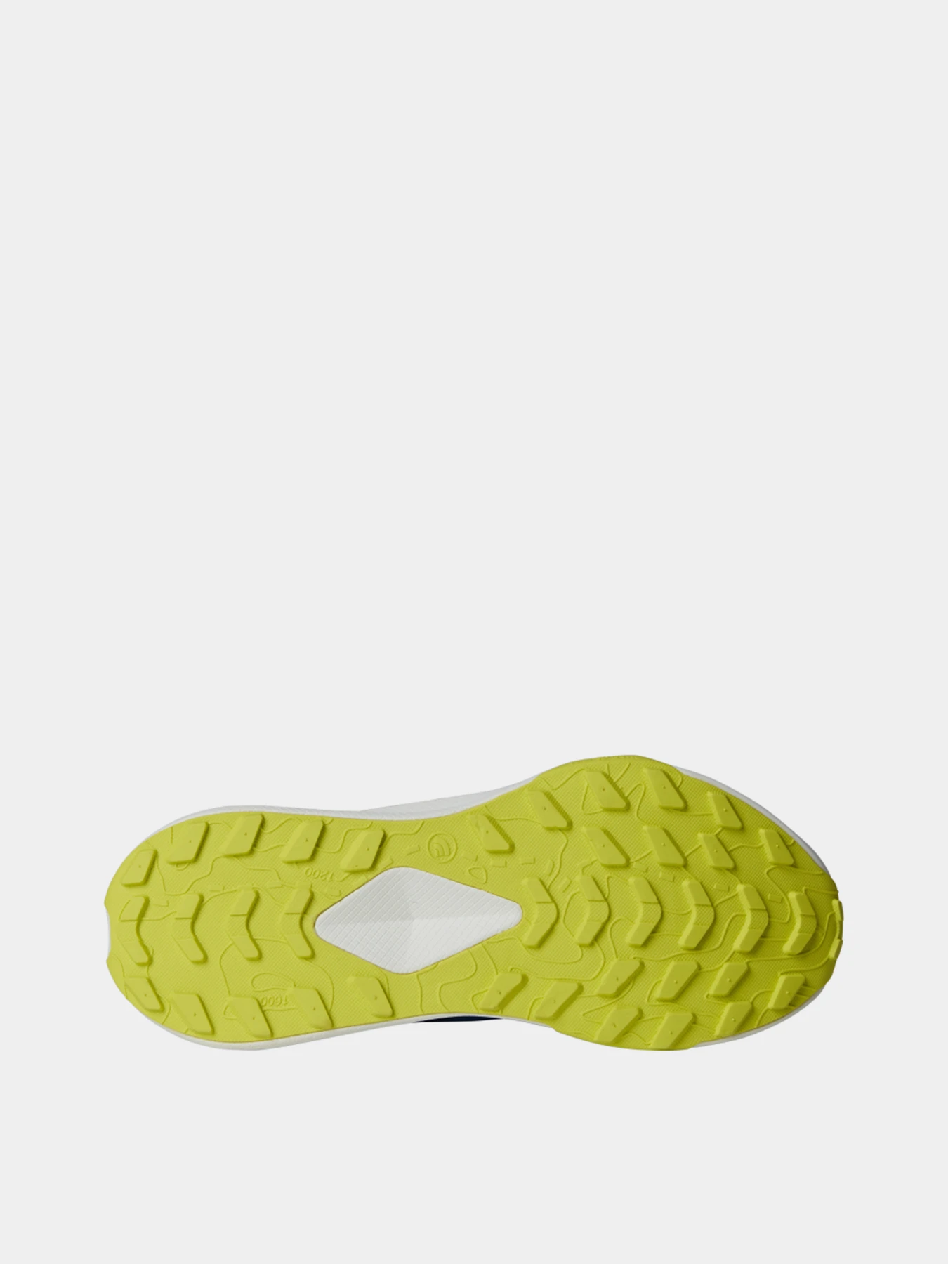 Кроссовки The North Face Altamesa модель NF0A83O473K1 Фото