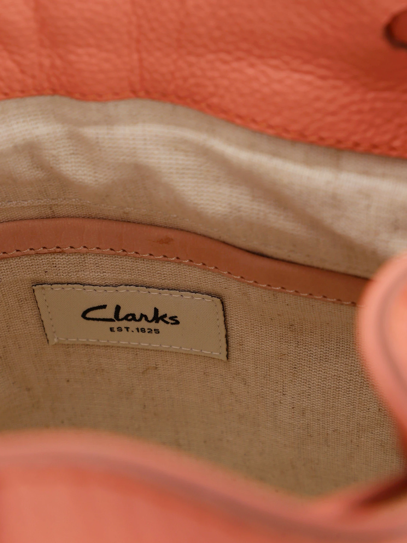 Рюкзаки Clarks Raelyn Mini модель 26164530 Рюкзаки Clarks Raelyn Mini модель 26164530 Фото