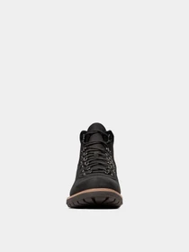 Ботинки и сапоги Clarks BatcombeAlpGTX модель 26144797 Фото