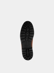 Ботинки и сапоги Clarks BatcombeAlpGTX модель 26151345 Фото