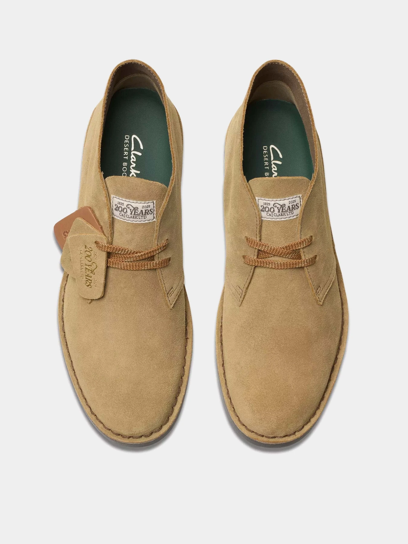 Ботинки и сапоги Clarks Desert Boot Evo модель 26180840 Ботинки и сапоги Clarks Desert Boot Evo модель 26180840 Фото