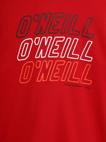 Худі та світшоти O'Neill модель 1P14981_червоний комб. Фото