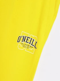 Брюки O'Neill модель 2550035_жовтий Фото