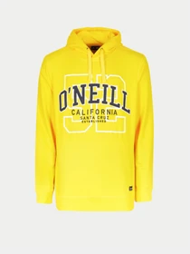 Худи и свитшоты O'Neill модель 2750037_жовтий комб. Фото