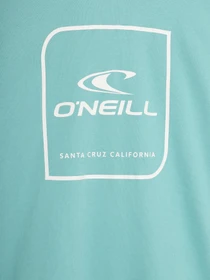 Худи и свитшоты O'Neill модель N064721_с.бірюзовий комб. Фото