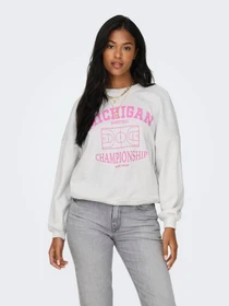 Худи и свитшоты Only модель 15329800_Light Grey Melange Champio Фото