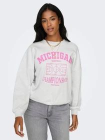 Худи и свитшоты Only модель 15329800_Light Grey Melange Champio Фото